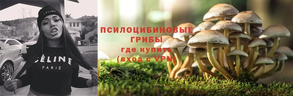 гашик Алексеевка