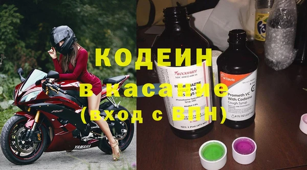 гашик Алексеевка