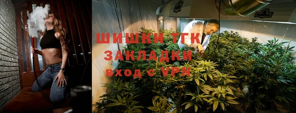гашик Алексеевка