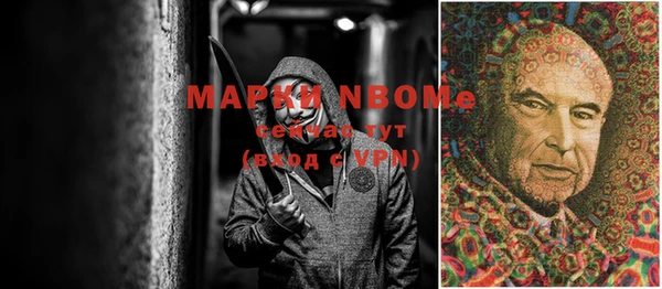 гашик Алексеевка