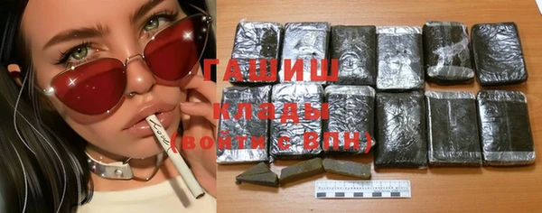 хмурый Алзамай