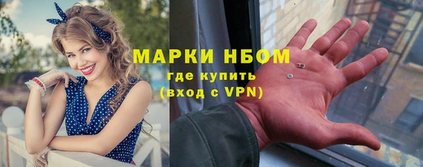 хмурый Алзамай