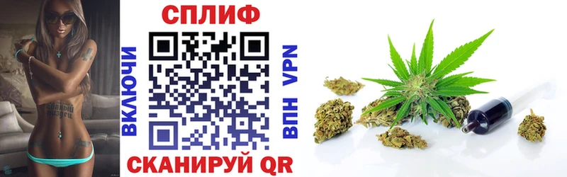 блэк спрут tor  Порхов  Каннабис планчик 